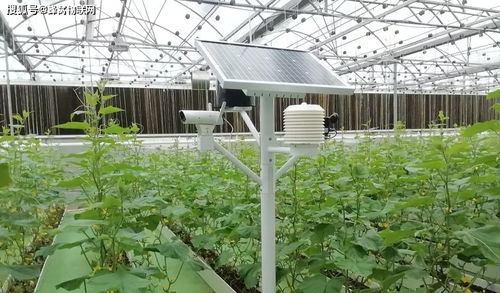 智慧農業物聯網傳感器