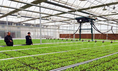 高質量推進鄉(xiāng)村振興