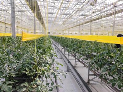 【觀察】緊盯“十四五”目標 濰坊國家農(nóng)綜區(qū)模式再升級