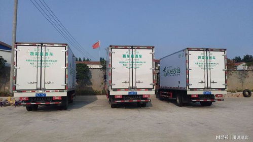 武漢市選派813名第一書記 463支工作隊駐村幫扶助力鄉(xiāng)村振興