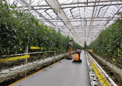 【春耕一線見聞】桐城:數字技術“上山下田” 農產品“出村進城”