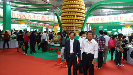 【批發蜜柚天然果園培植品質保障 批發售賣13459609788】價格_廠家_圖片 -