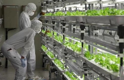 生態(tài)農業(yè)的六大發(fā)展模式