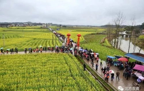 10個農業(yè)新玩法,有些人正用這些賺錢