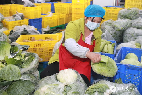 遵義匯川 智慧對接 農產(chǎn)品更暢銷