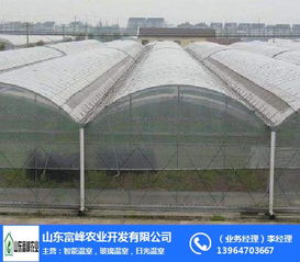 連棟溫室大棚在朔州地區(qū)農(nóng)業(yè)現(xiàn)代化中的應(yīng)用——富峰農(nóng)業(yè)的實(shí)踐探索